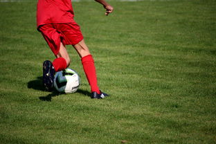 开云体育开云-中国篮球教练员职业发展规划及培训体系，篮球教练员职业生涯规划