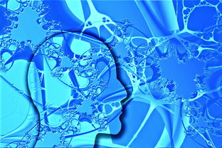 kaiyun 开云体育-中国足球不同战术体系试验数据，国足战术风格