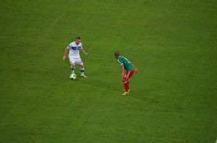 开云体育移动版-中国足球对抗频次与伤病风险相关性，足球 对抗